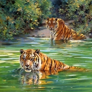 Donald-Grant-tigers-painting-river-tiger-jungle_2020x1534